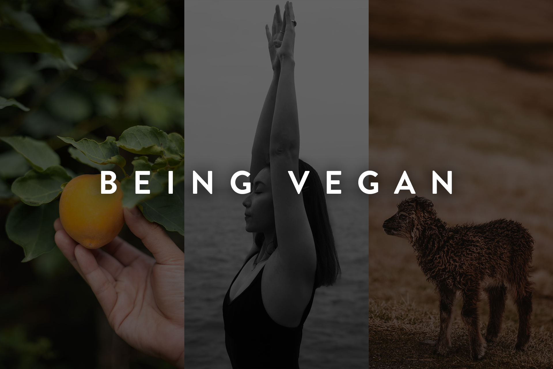 BEING VEGAN