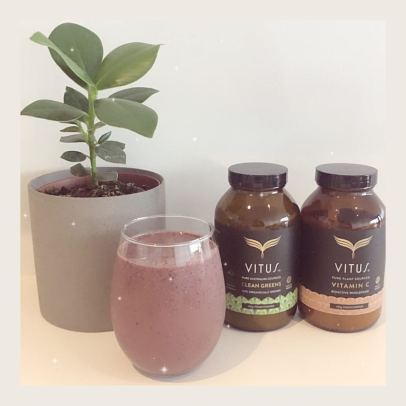 VITUS VEGAN RECOVERY SMOOTHIE - BY AMBASSADOR JACINTA PENN